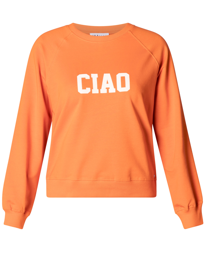 Remi Sweaters (4200644)