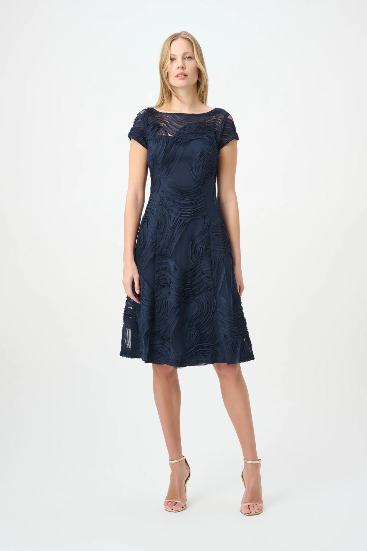 Embroidered Swirl Fit & Flare Dress (264720)