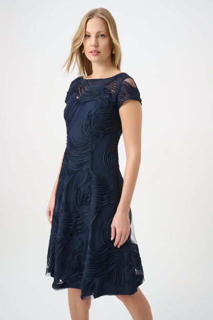 Embroidered Swirl Fit & Flare Dress (264720)