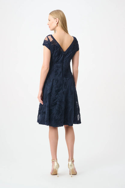 Embroidered Swirl Fit & Flare Dress (264720)