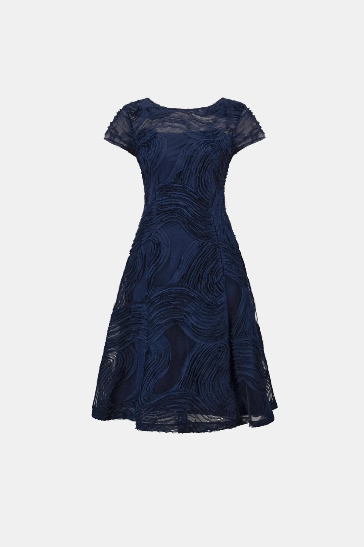 Embroidered Swirl Fit & Flare Dress (264720)