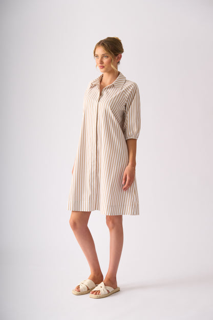 Good Shirt Dress (FO8736)