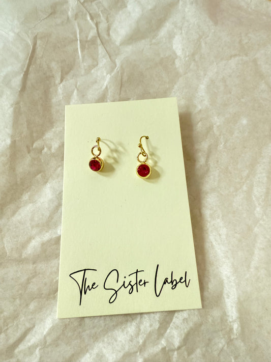 Pink Circle Earrings (Pink)