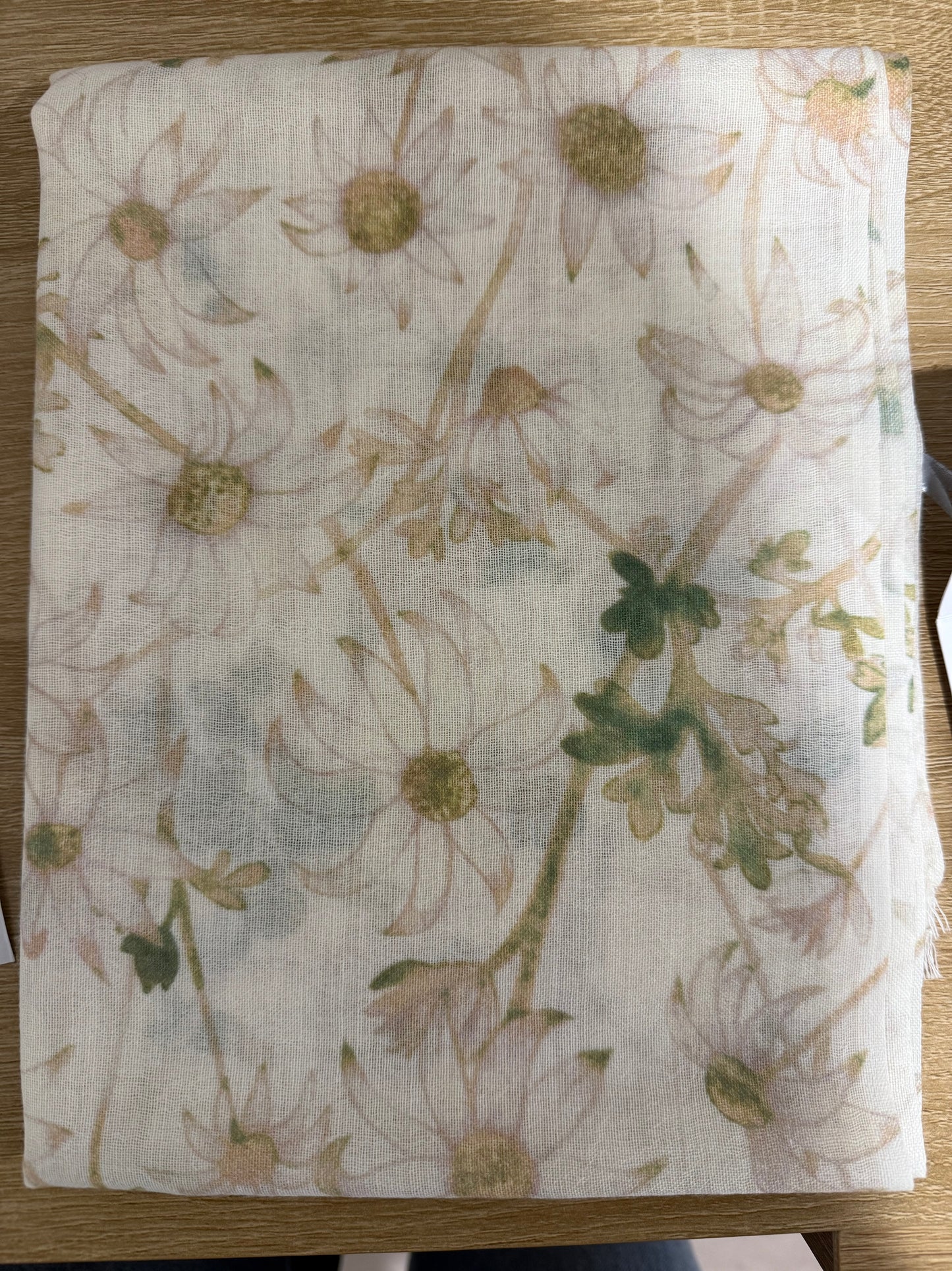 Flannel Flowers (2711)