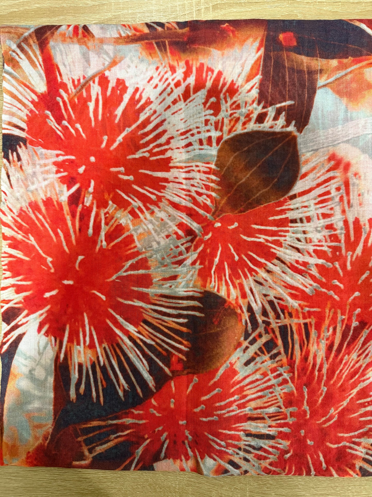 Hakea (2733)