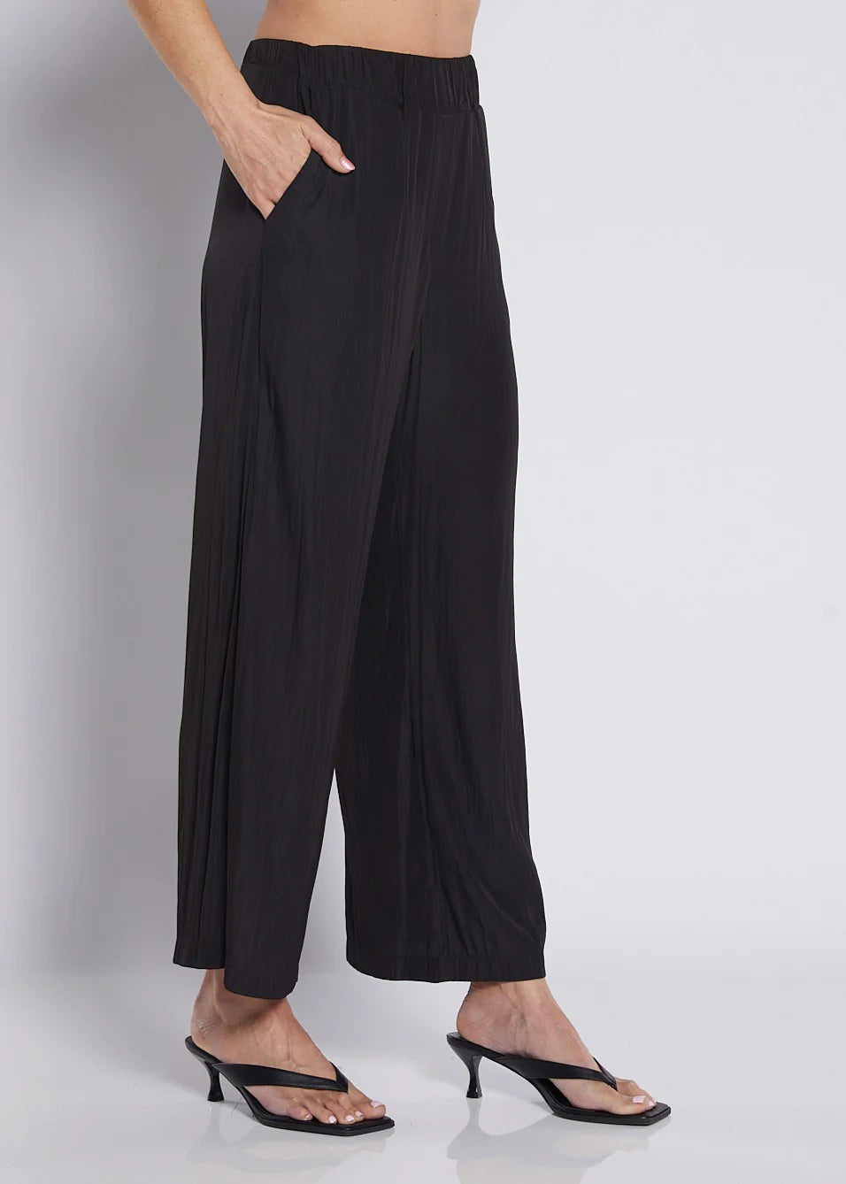 Lustre Technical Wide Leg Pants (Violin.W26)