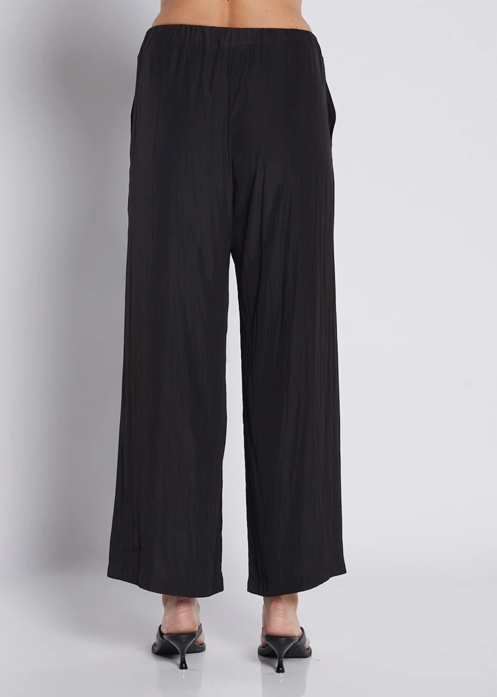 Lustre Technical Wide Leg Pants (Violin.W26)