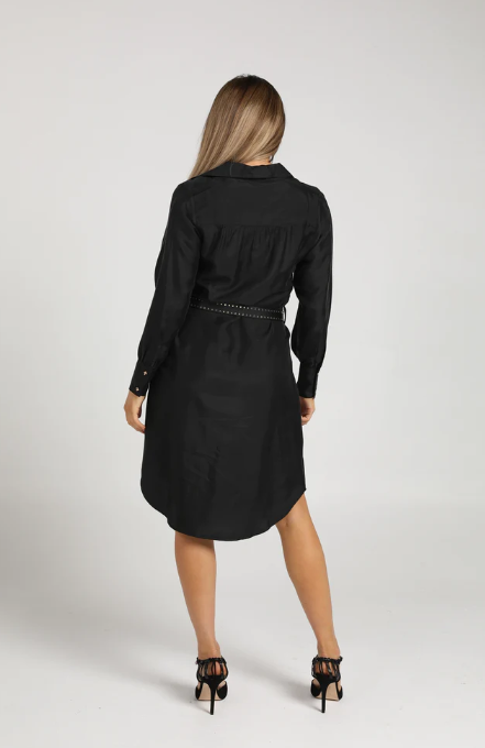The Silk Shirt Dress (19NB042)