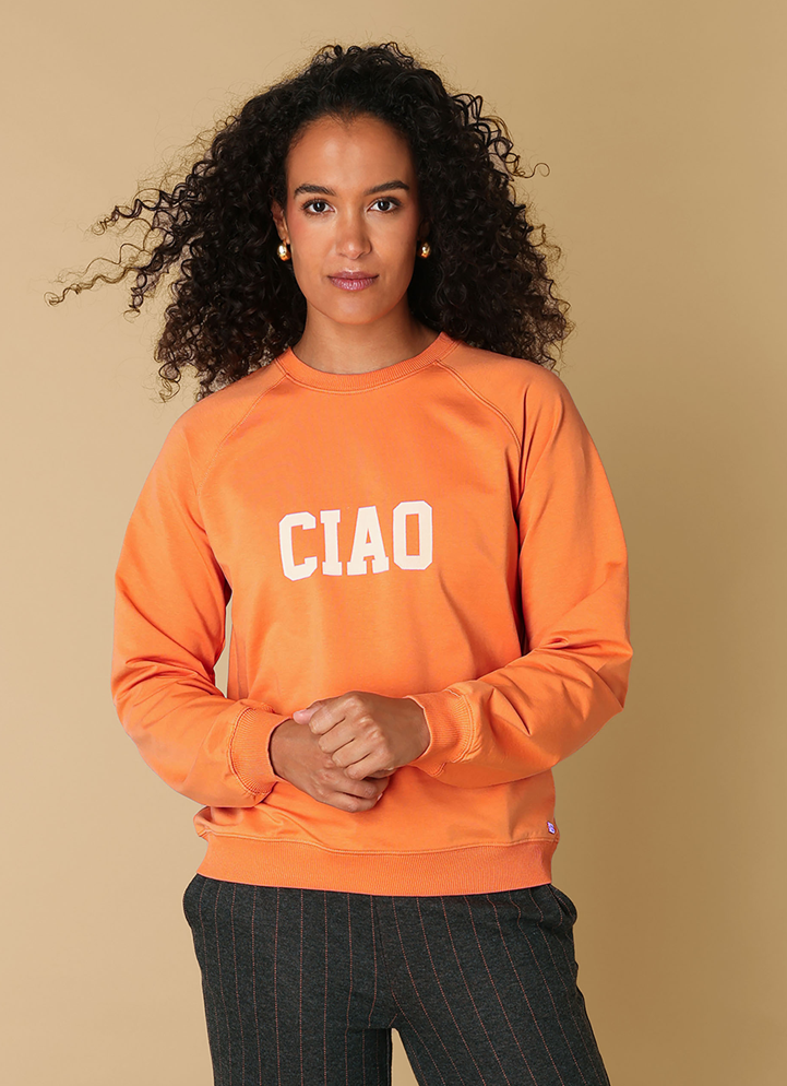 Remi Sweaters (4200644)